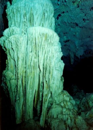 Grand Cenote near Tulum Mexico, is really a wide angle su... by Marylin Batt 