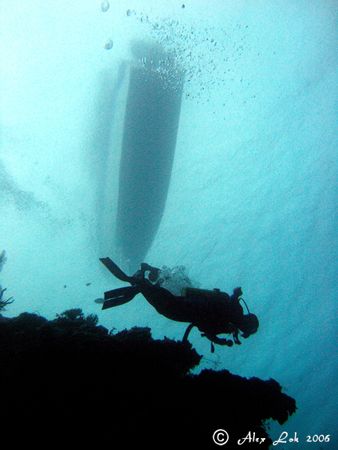 SAFETY STOP. this photo is taken at Sipadan Island ~ Sout... by Alex Lok 