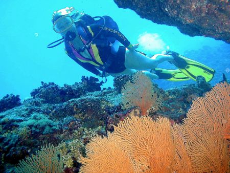 "Coral Caves"

Nice clear deep water caves filled with ... by Nicolas Pohl 
