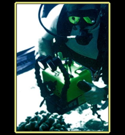 Fantasy Diver. Photo of a videographer I was diving with. by Mathew Cook 
