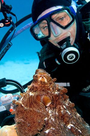 Photographer takes a break to enjoy an octopus. Canon 20D... by Kristin Anderson 