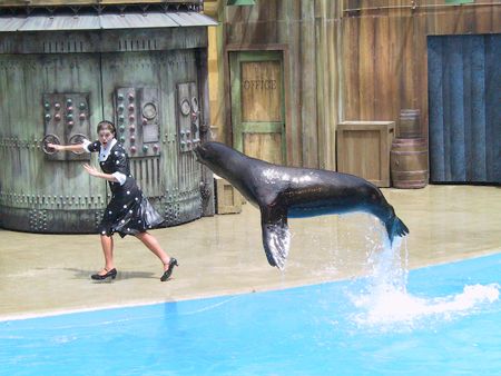 Image taken by a Canon G1 at Seaworld San Antonio by Terry Moore 
