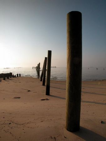Mobile Bay, Alabama by Victoria Collins 