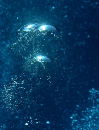Life Support. Taken near Hawaii Kai, HI. by Mathew Cook 