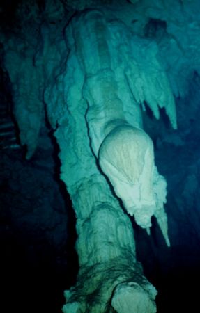 Stelactites in Grand Cenote near Tolume
Mexico. NikonosV... by Marylin Batt 