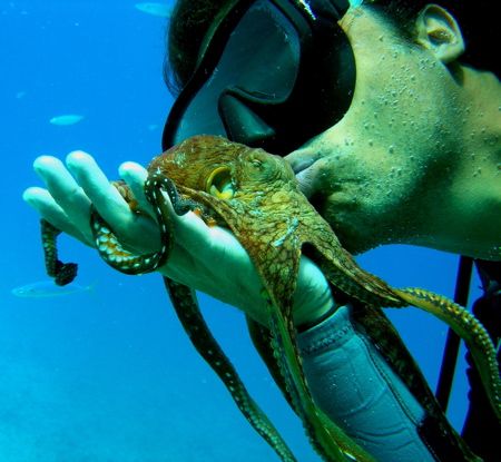 kissing the tako by Elizabeth Chase 