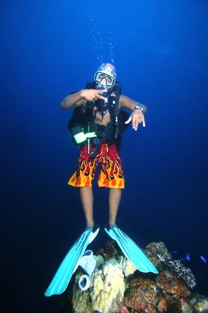 Our dive guide with his colorful shorts hovers above a Ch... by Terry Moore 