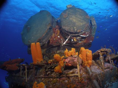 Russian Destroyer-Cayman Brac
Olympus 350 with Ikelite H... by Vicki Sarver 
