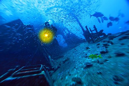 nik D200 - SB800 - wreck near Vakarufalhi - Ari Atoll by Manfred Bail 