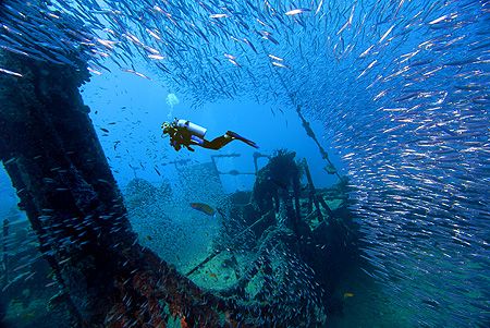 nik D200 - SB800 strobe - Ari Atoll - Vakarufalhi - Compo... by Manfred Bail 