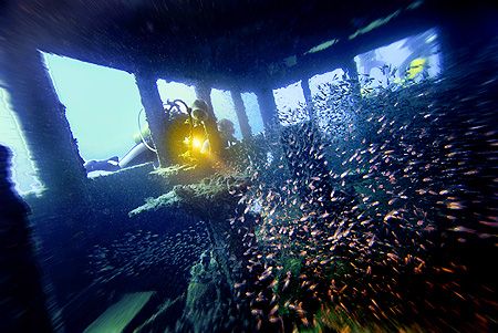 nik D200 - SB800 - Ari Atoll - Vakarufalhi by Manfred Bail 