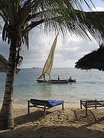 lazy days on the beach. Zanzibar, Tanzania. by Chris Wildblood 