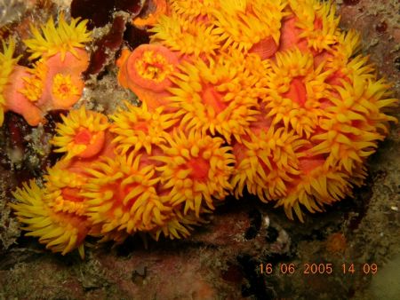 photo taken at indonesia batam by Bok Leng Tan 