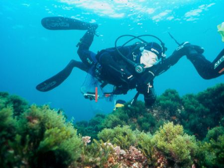 A promenade in the sea - NikonosV whit 15mm and Ikelite 1... by Ferdinando Meli 