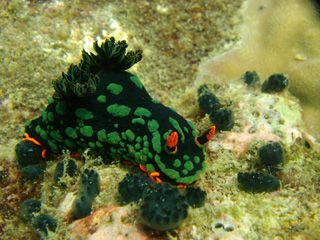 Taken in Tioman while waiting for friend to clear her ski... by Kieren Tan 