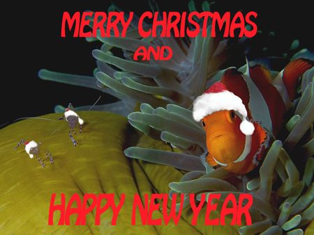 Merry Christmas and Happy New Year by Marco Caraceni 