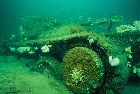 VALENTINE TANK, taken in Findhorn Bay in the Moray Firth.... by Mike Clark 