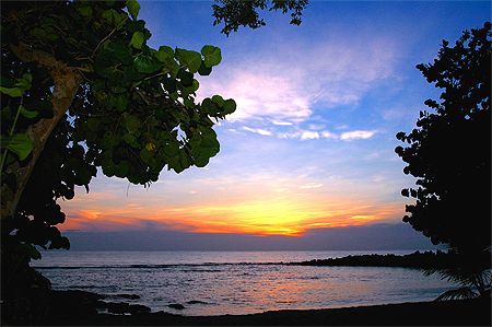 Roatan, Honduras. by Shawn Jackson 