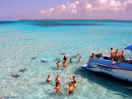 Stingray City Sandar- Olypus Sp-350 by Andrew Kubica 