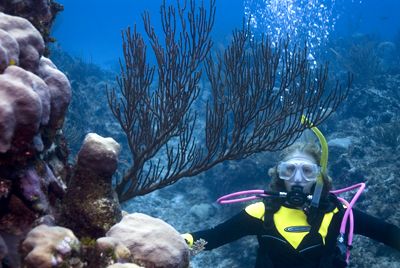 Analyzing soft corals. Nikon D200 in an
Ikelite Housing ... by Don Bricker 