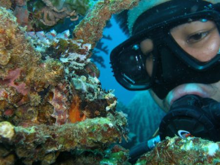 I'm looking on scorpionfish. by Jun Yu 