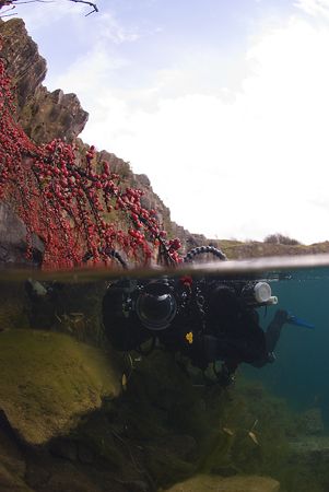 Mark in the shallows. Capernwray.
D200, 16mm. by Derek Haslam 