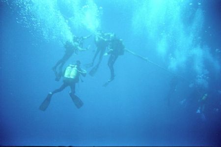 Decompression stop, after a wonderfull dive on the Zenobi... by Demetris Papadopoulos 