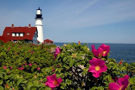 Maine on a beautiful calm day... by Shawn Jackson 