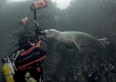 Ouch!!
Farne Islands.
D200, 16mm. by Mark Thomas 