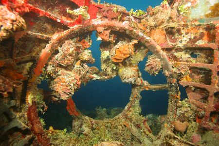 Inside the nose of Chuuk Lagoons Emily Flying Boat by Terry Moore 