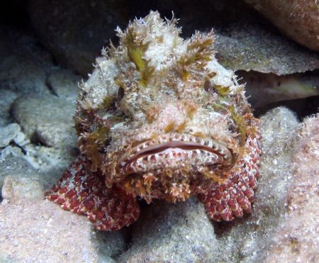 ugly by Clint Tackitt 