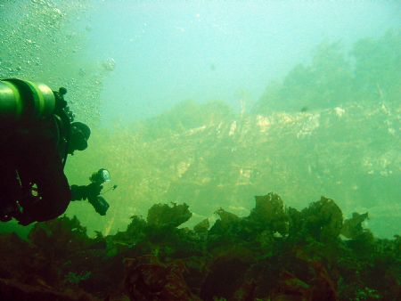 Diver with surface and sky background. by Voicu Tulai 