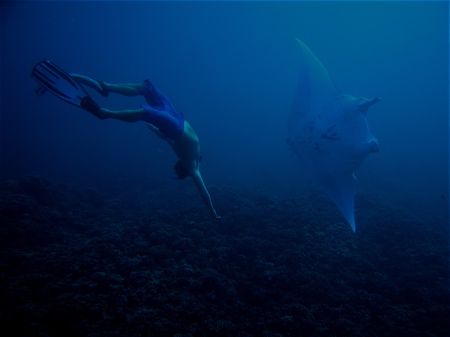 manta dance by Dylan Matheson 