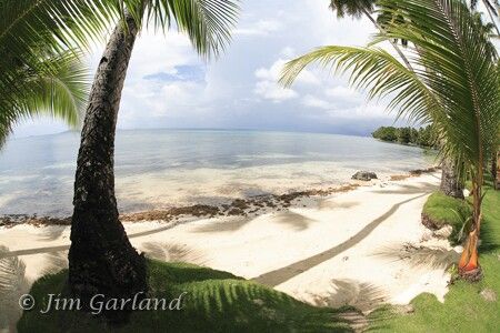 Blue Lagoon - Chuuk by Jim Garland 