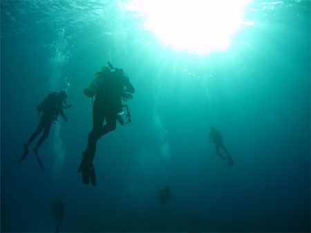 Safety Stop. Canon SD550. Cozumel. by Paul Holota 