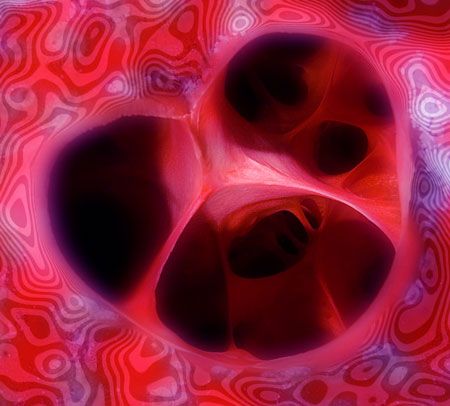 Happy Valentine's Day!!! 
(a little late) by Larissa Roorda 