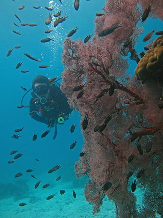 Ocean Xplorer. Taken With Canon S80 In Tioman, Malaysia. by Edvin Eng 