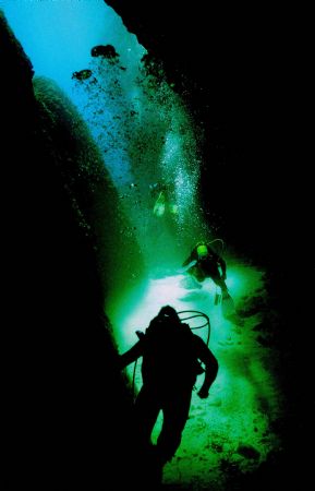 Out of the dark and into the light by Howard Gilmour 