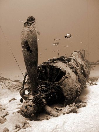 Corsair, Oahu Hawaii. Taken with a Canon Powershot S300 w... by Stuart Ganz 