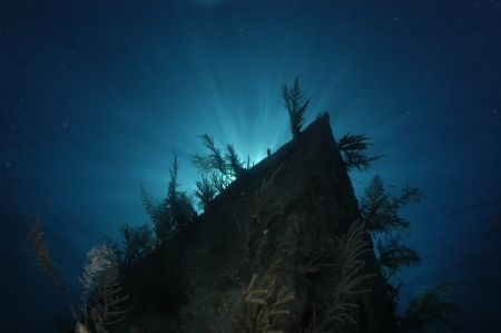 Bond Wreck Nikon d-70s Sea & Sea Housing by David Schmidt 