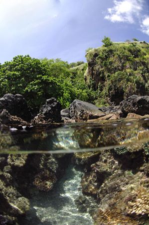 O/U have become my obsession. Nikon/aquatica/10.5/single ... by Victor Zucker 