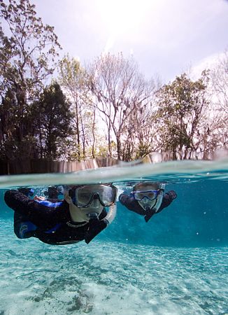 future divers in training. My son and my buddies son snor... by Michael Shope 