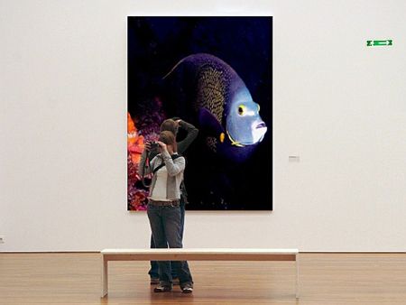 "who looking at who" by Steven Anderson 