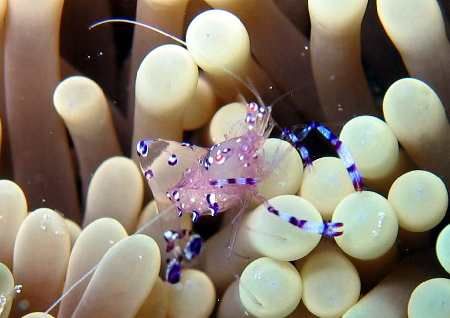 This little guy had just come out to voice his disapprova... by Rita Ganz 