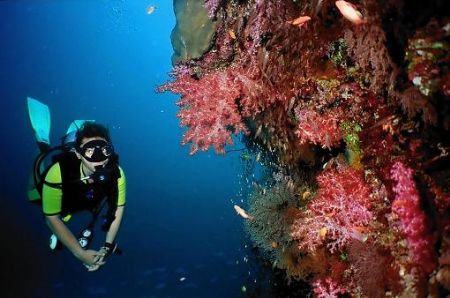 Who said we dream in black and white?!
Similan Islands, ... by Erich Reboucas 