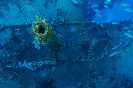 Interesting tube protruding from a shipwreck that shows c... by Dale Hymes 