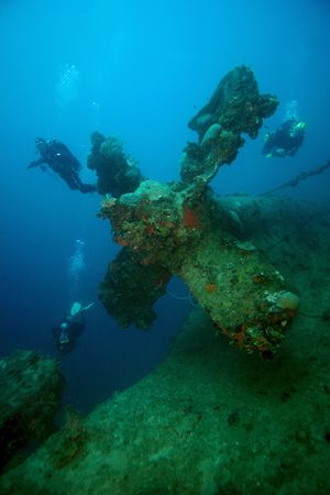 Here Divers fan out on the propeller of the Rio De Janeir... by Terry Moore 