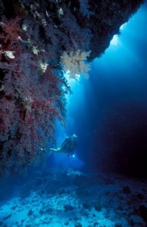 It's so quiet down there.

Nikonos V with 15mm and YS-3... by Paul Quets 