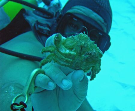 This was our Divemaster (Mario) in Cozumel. Thanks for al... by Garry Rogers 