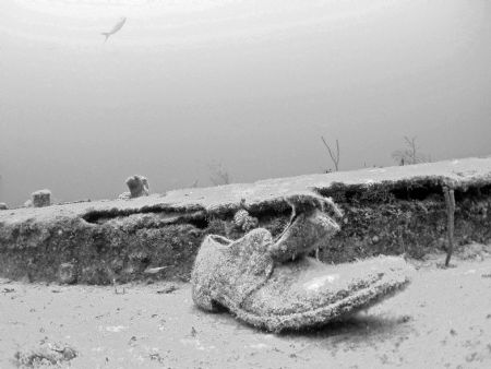 Lost Shoe by David Schmidt 